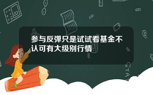 参与反弹只是试试看基金不认可有大级别行情