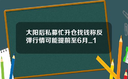 大阳后私募忙升仓找钱称反弹行情可能提前至6月_1