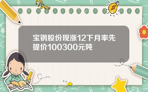 宝钢股份现涨12下月率先提价100300元吨