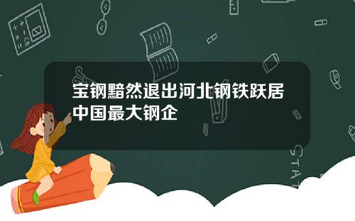 宝钢黯然退出河北钢铁跃居中国最大钢企