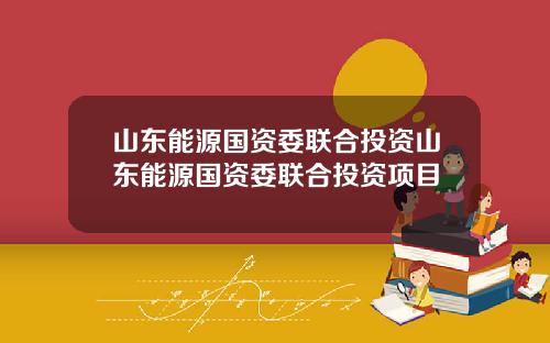 山东能源国资委联合投资山东能源国资委联合投资项目