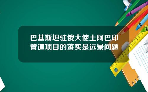 巴基斯坦驻俄大使土阿巴印管道项目的落实是远景问题