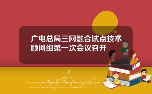 广电总局三网融合试点技术顾问组第一次会议召开