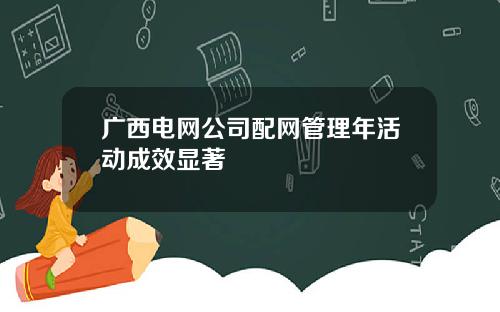 广西电网公司配网管理年活动成效显著