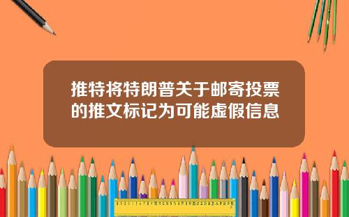 推特将特朗普关于邮寄投票的推文标记为可能虚假信息