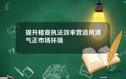 提升稽查执法效率营造风清气正市场环境