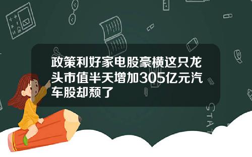 政策利好家电股豪横这只龙头市值半天增加305亿元汽车股却颓了