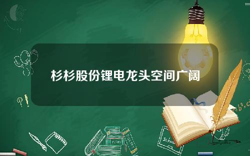 杉杉股份锂电龙头空间广阔