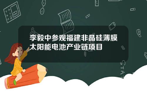 李毅中参观福建非晶硅薄膜太阳能电池产业链项目