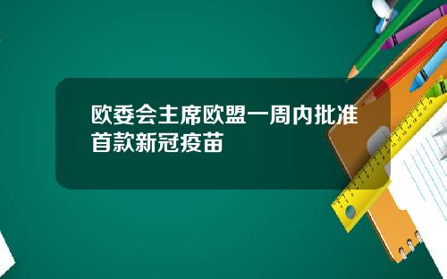 欧委会主席欧盟一周内批准首款新冠疫苗