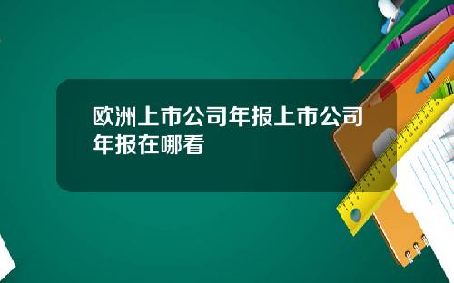 欧洲上市公司年报上市公司年报在哪看