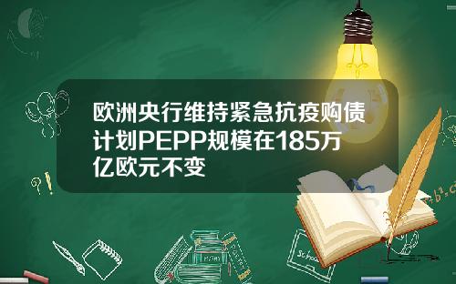 欧洲央行维持紧急抗疫购债计划PEPP规模在185万亿欧元不变