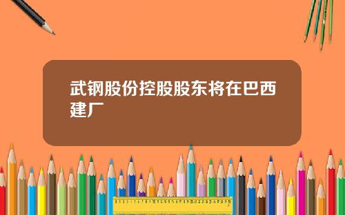 武钢股份控股股东将在巴西建厂