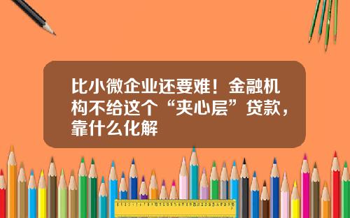 比小微企业还要难！金融机构不给这个“夹心层”贷款，靠什么化解