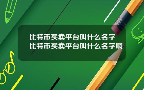 比特币买卖平台叫什么名字比特币买卖平台叫什么名字啊