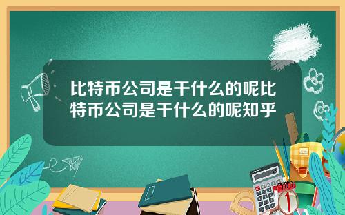 比特币公司是干什么的呢比特币公司是干什么的呢知乎