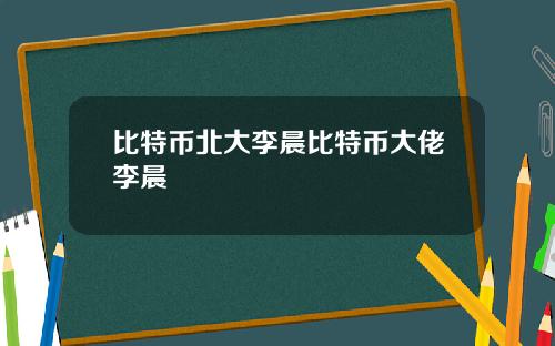 比特币北大李晨比特币大佬李晨