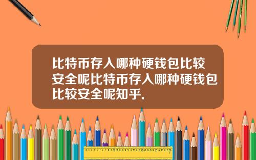 比特币存入哪种硬钱包比较安全呢比特币存入哪种硬钱包比较安全呢知乎.