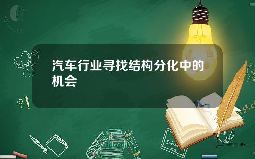 汽车行业寻找结构分化中的机会