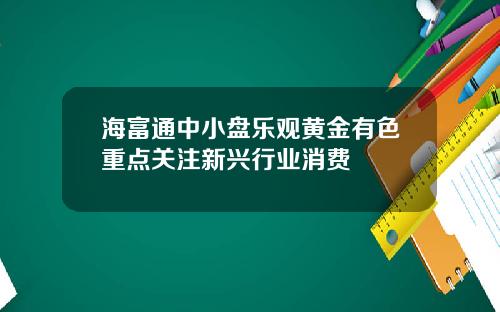 海富通中小盘乐观黄金有色重点关注新兴行业消费