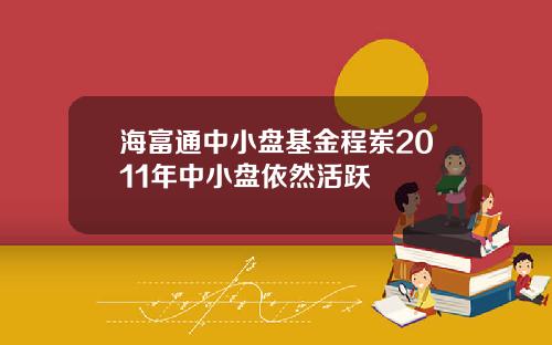 海富通中小盘基金程岽2011年中小盘依然活跃