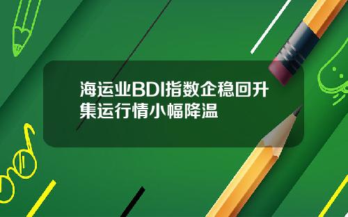 海运业BDI指数企稳回升集运行情小幅降温