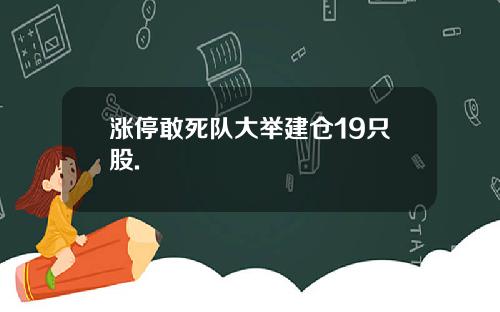 涨停敢死队大举建仓19只股.