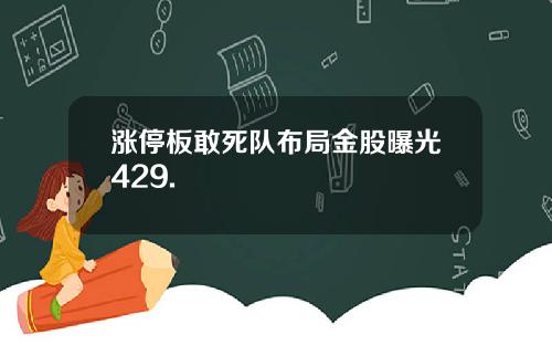 涨停板敢死队布局金股曝光429.