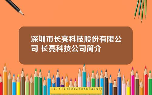 深圳市长亮科技股份有限公司 长亮科技公司简介