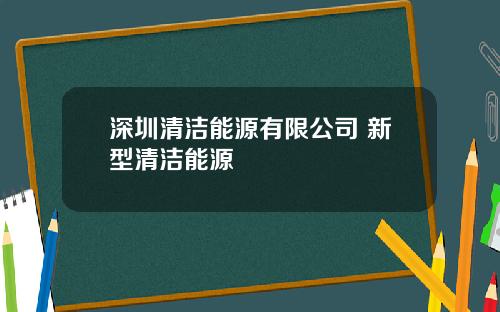 深圳清洁能源有限公司 新型清洁能源