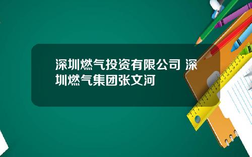 深圳燃气投资有限公司 深圳燃气集团张文河