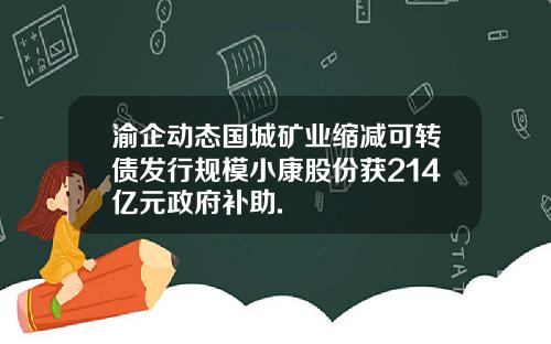 渝企动态国城矿业缩减可转债发行规模小康股份获214亿元政府补助.