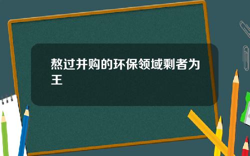 熬过并购的环保领域剩者为王