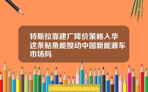 特斯拉靠建厂降价策略入华这条鲇鱼能搅动中国新能源车市场吗