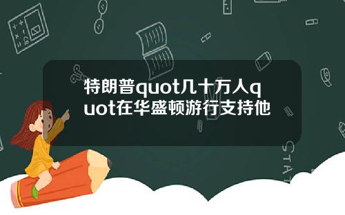 特朗普quot几十万人quot在华盛顿游行支持他