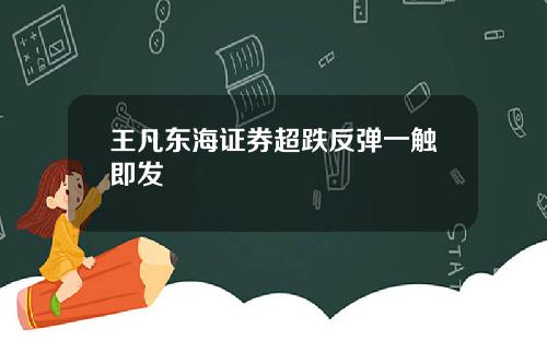 王凡东海证券超跌反弹一触即发