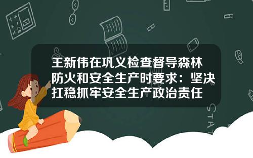 王新伟在巩义检查督导森林防火和安全生产时要求：坚决扛稳抓牢安全生产政治责任