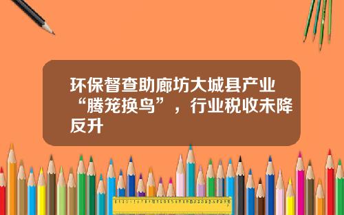 环保督查助廊坊大城县产业“腾笼换鸟”，行业税收未降反升