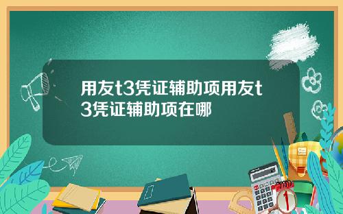 用友t3凭证辅助项用友t3凭证辅助项在哪