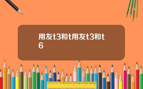 用友t3和t用友t3和t6