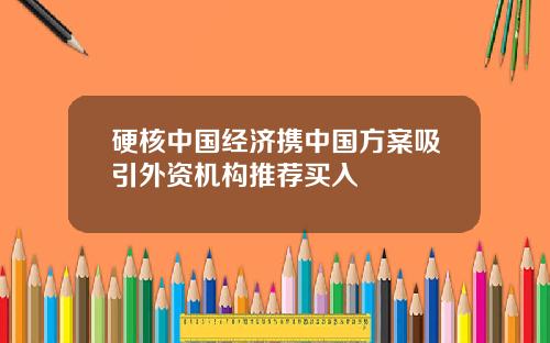 硬核中国经济携中国方案吸引外资机构推荐买入