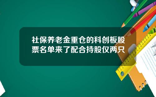 社保养老金重仓的科创板股票名单来了配合持股仅两只