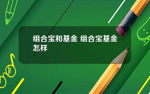 组合宝和基金 组合宝基金怎样