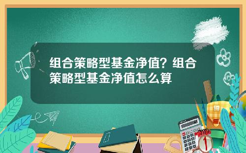 组合策略型基金净值？组合策略型基金净值怎么算