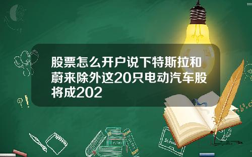 股票怎么开户说下特斯拉和蔚来除外这20只电动汽车股将成202