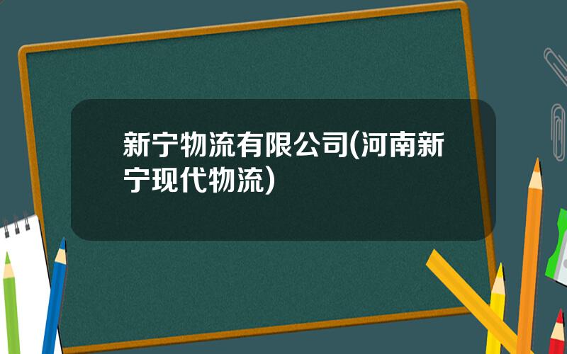 新宁物流有限公司(河南新宁现代物流)