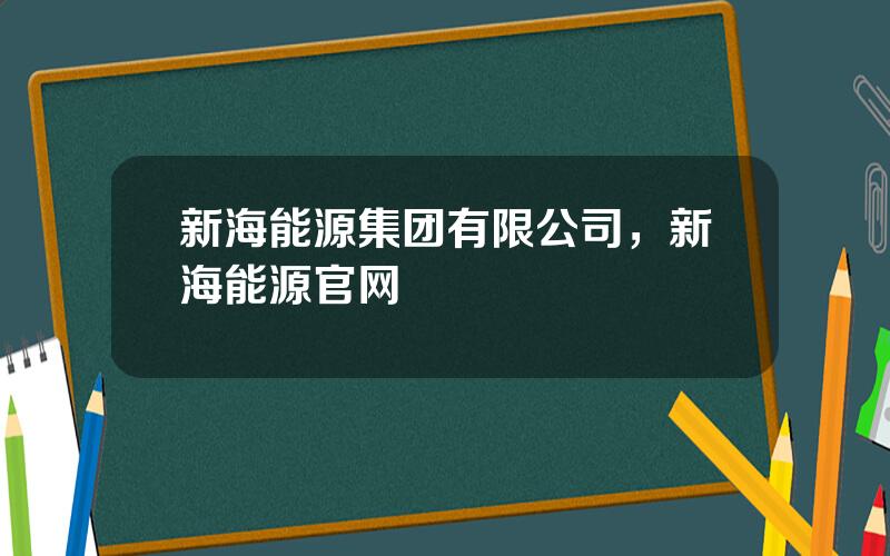 新海能源集团有限公司，新海能源官网