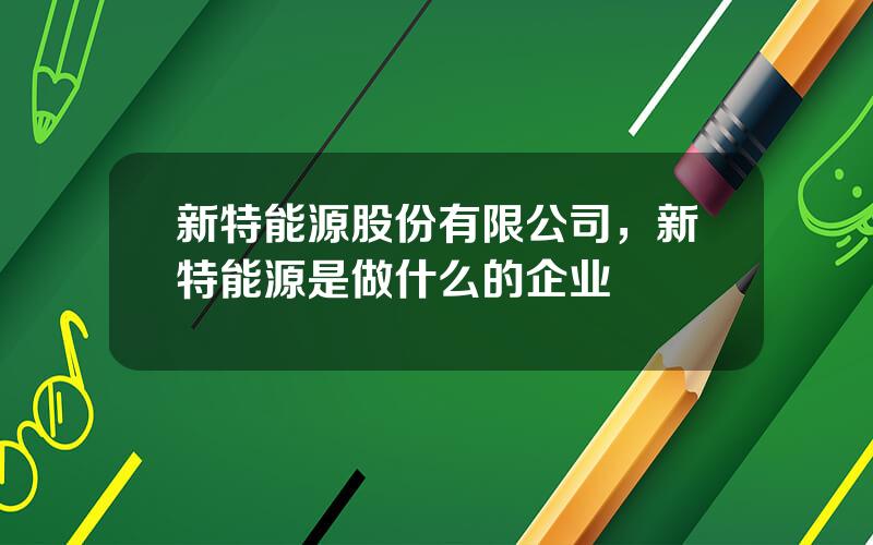 新特能源股份有限公司，新特能源是做什么的企业