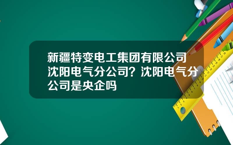 新疆特变电工集团有限公司沈阳电气分公司？沈阳电气分公司是央企吗