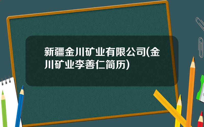 新疆金川矿业有限公司(金川矿业李善仁简历)